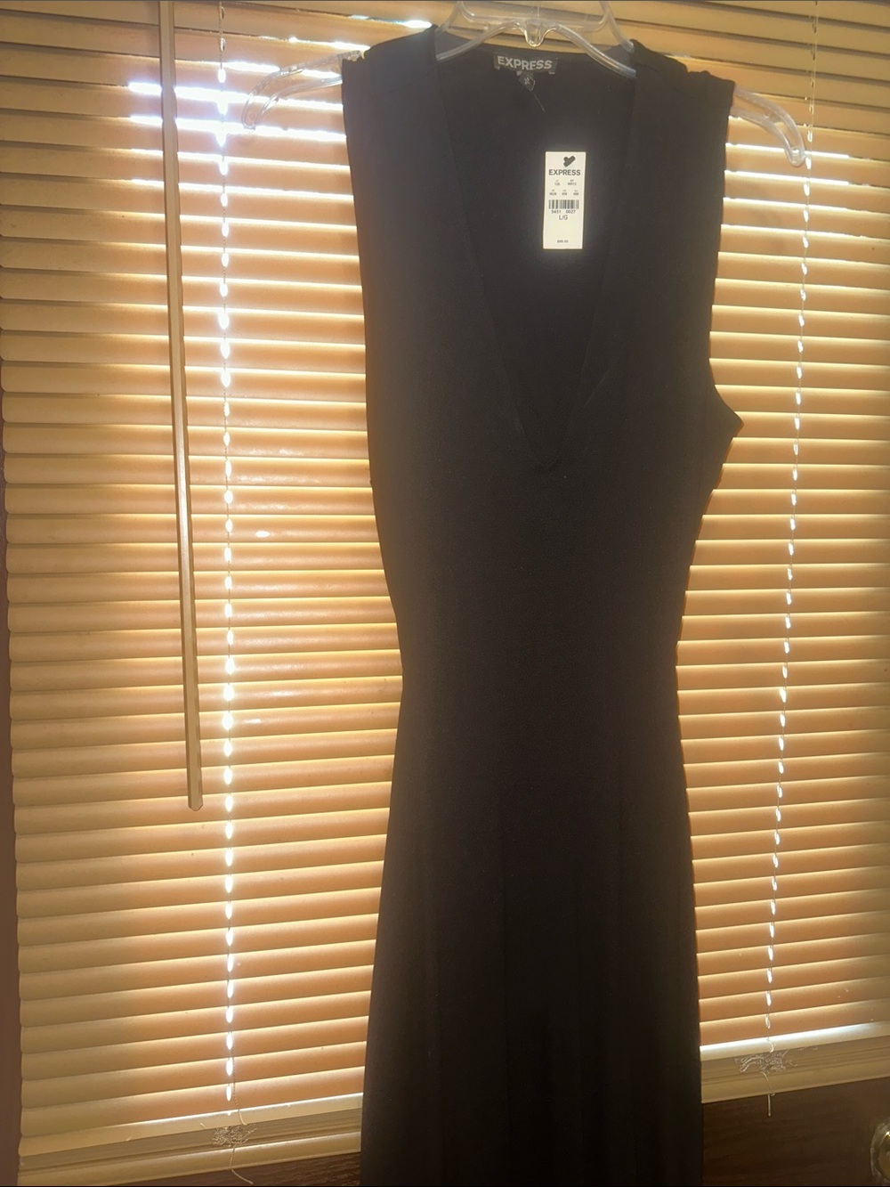 Express Black Sleeveless V-Neck Maxi Dress